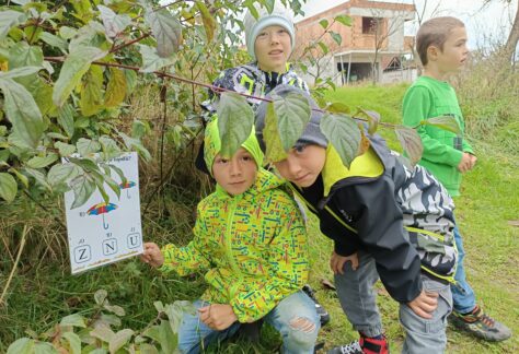 ŠD – Kdo bydlí v dýni?